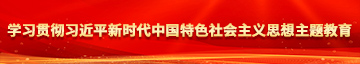 色逼爆艹色逼学习贯彻习近平新时代中国特色社会主义思想主题教育